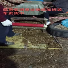 临泉县批发优质小方包青储黄储牛羊草料