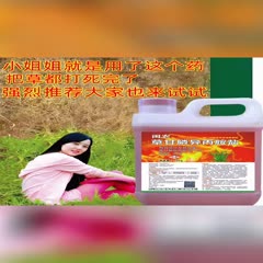 郑州10斤/50斤桶装草甘磷高浓度41%草甘磷除草剂批发农场果园